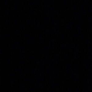 Meet your Posher, Sofia